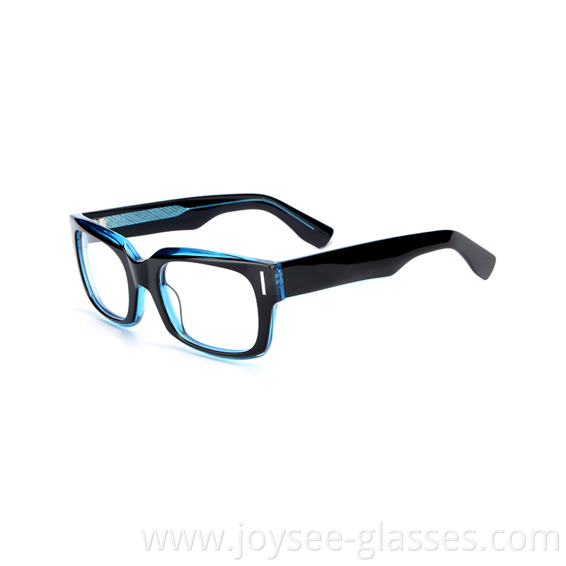 Polished Eyeglasses 8